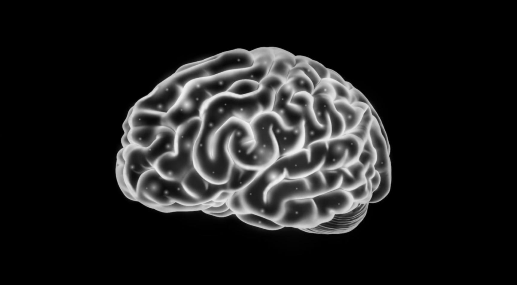 Praktische Arbeit mit Sprachmodellen in realistischen Projektszenarien